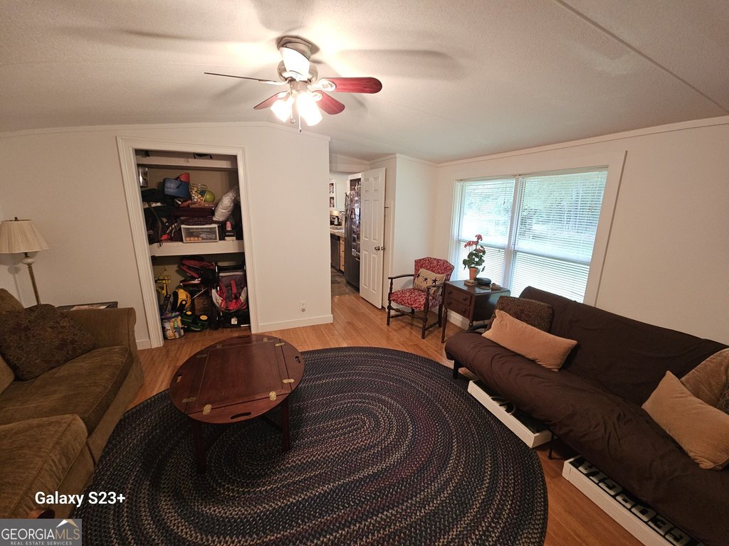 Picture 17
