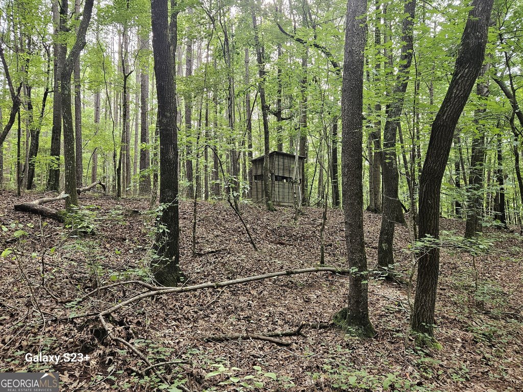 Picture 46