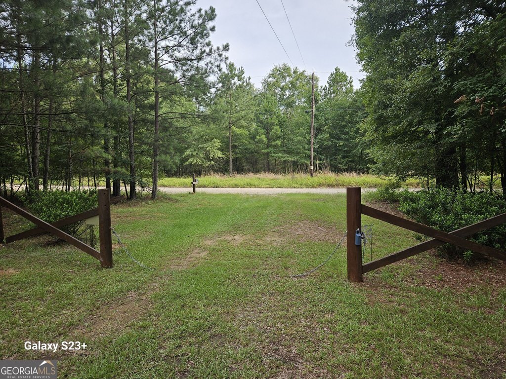 Picture 5