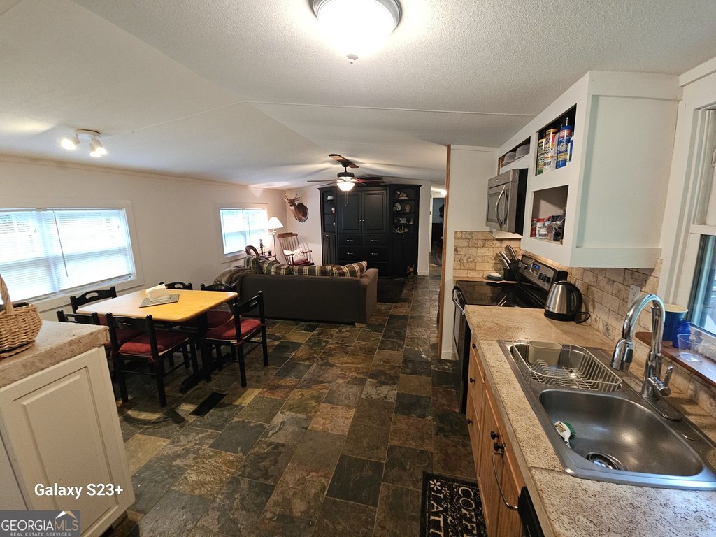 Picture 15