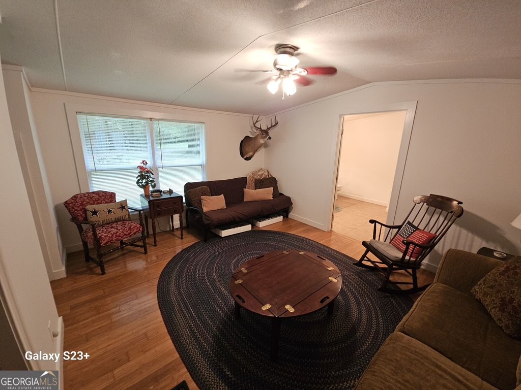 Picture 11