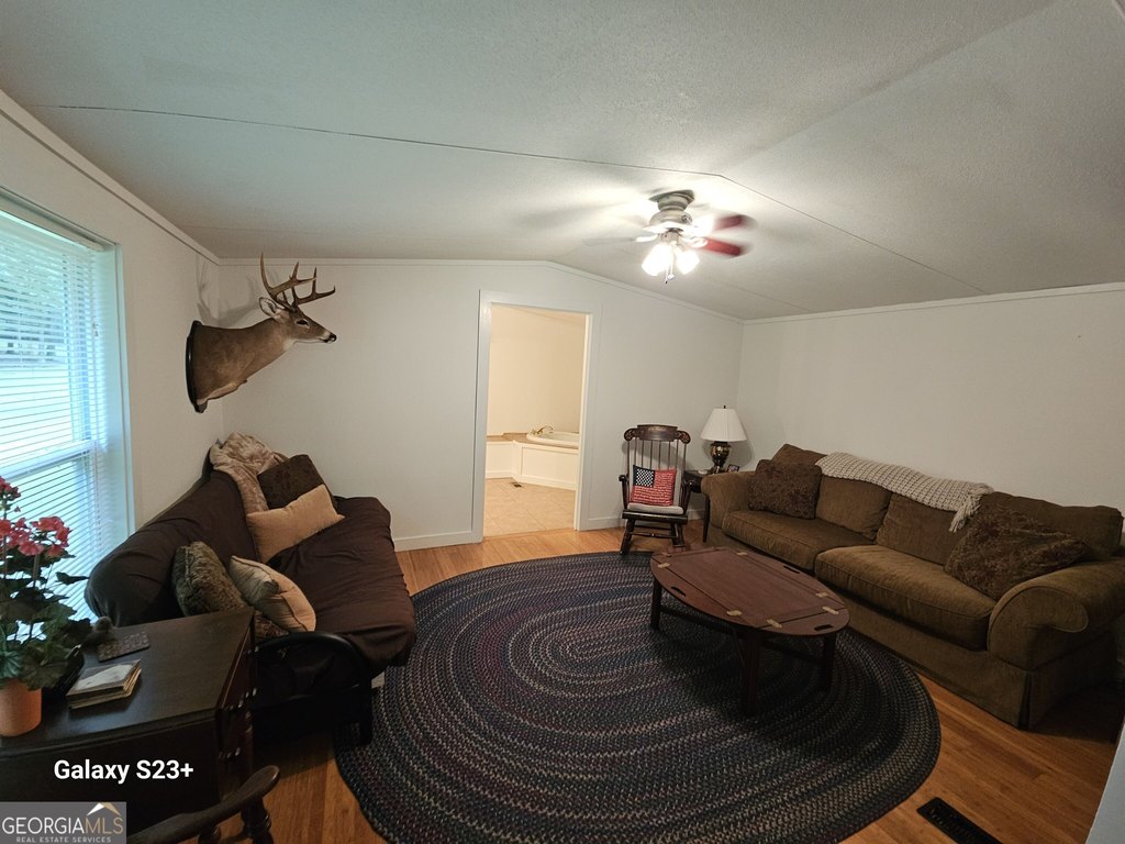 Picture 12