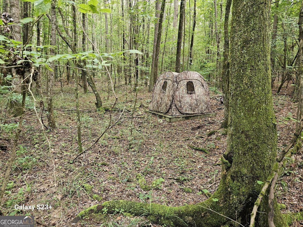 Picture 44