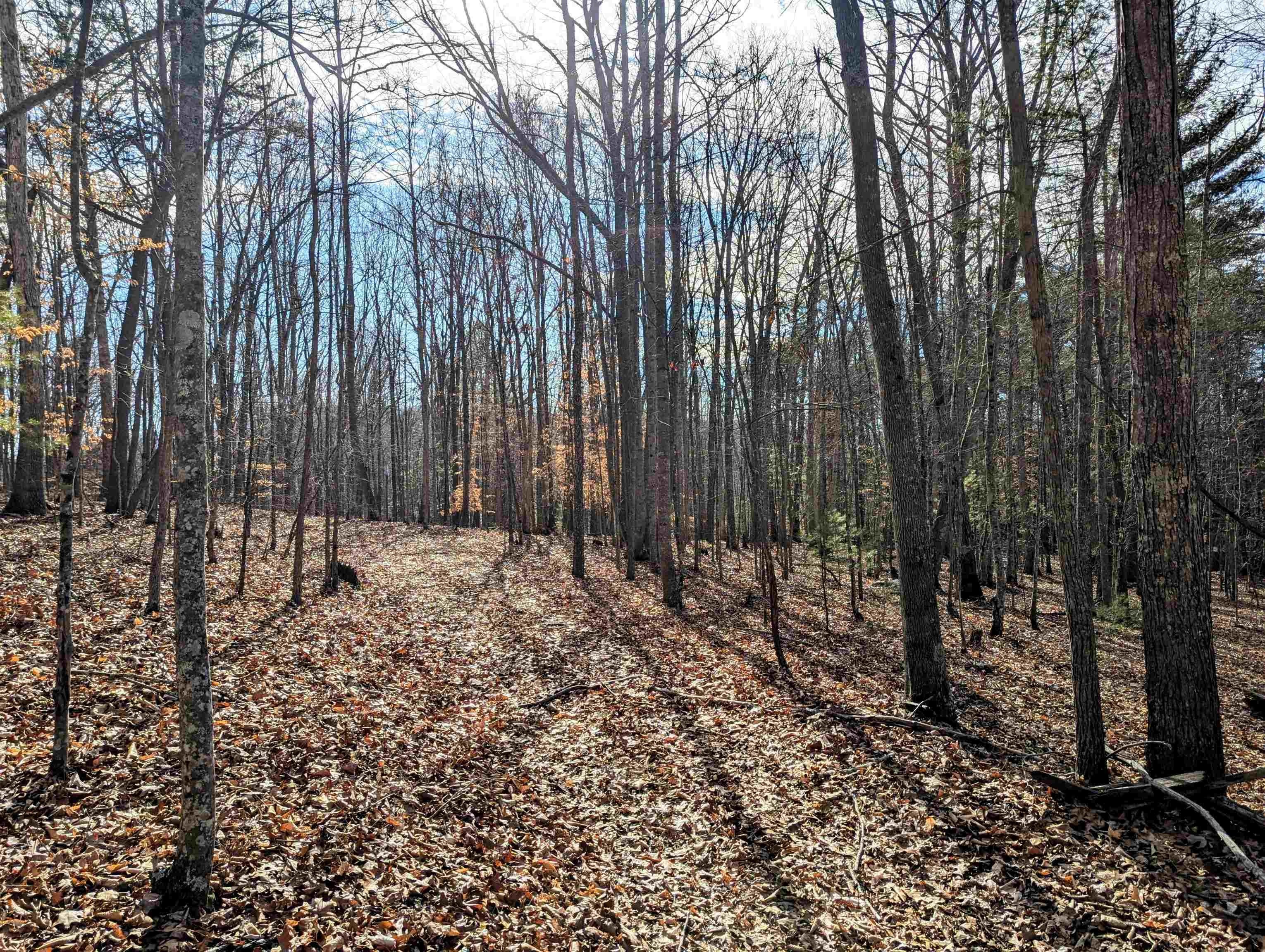 Wooded Land Near New River