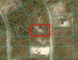 Spacious Buildable Homesite in Ocala