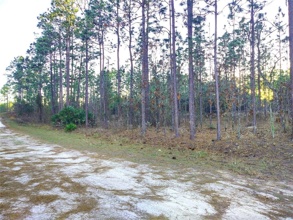 Picture 4
