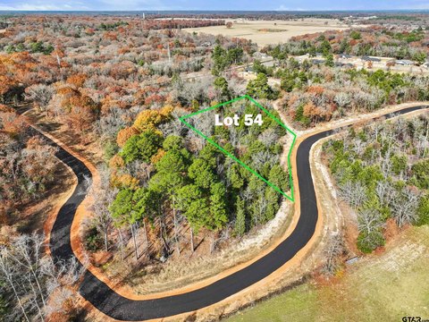 Residential Lot in Mineola, TX