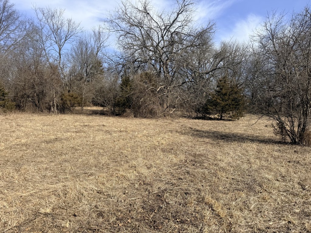 Picture 18