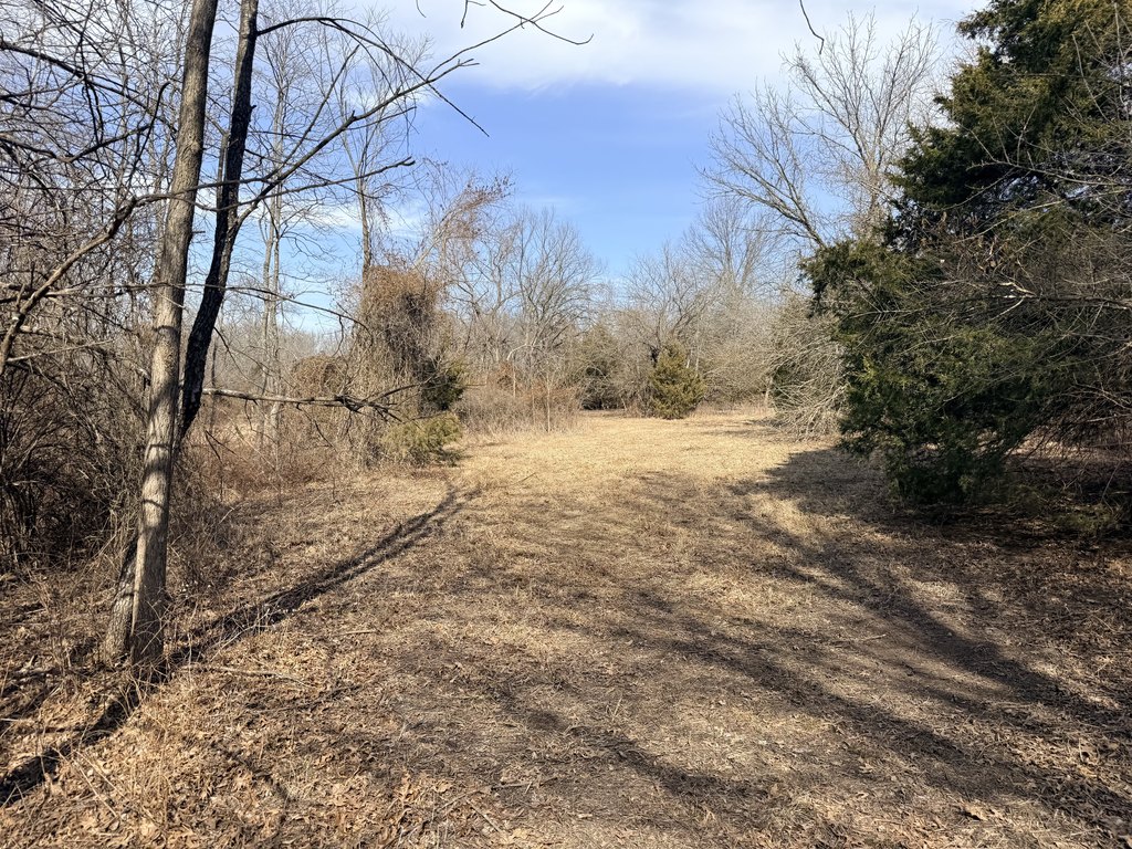 Picture 20