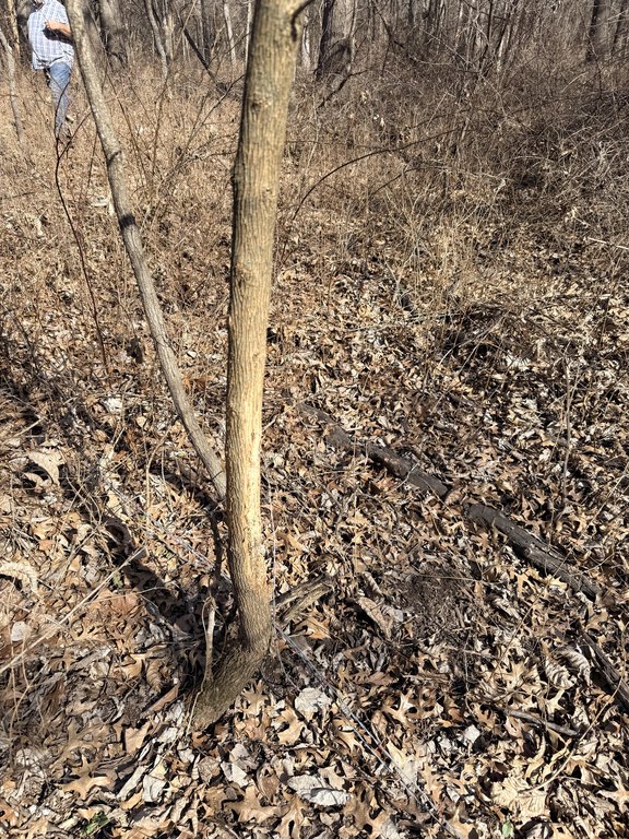 Picture 17