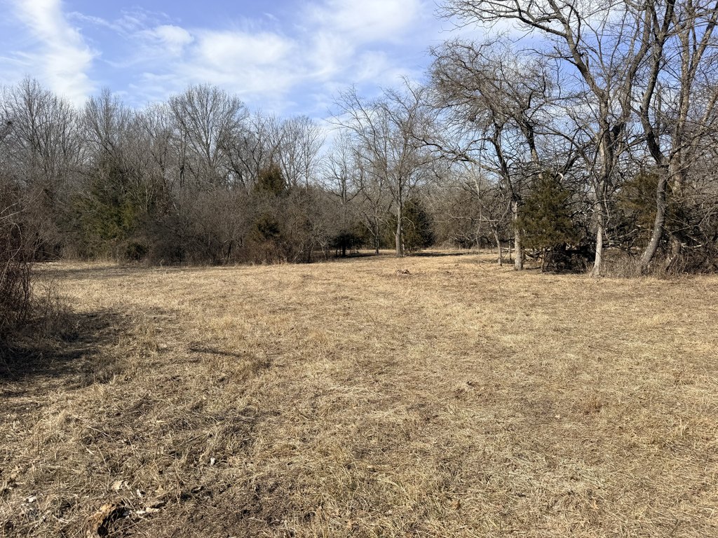 Picture 21