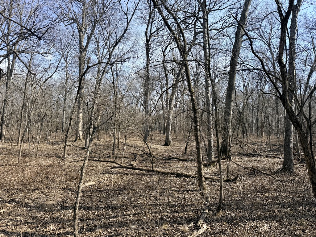 Picture 15