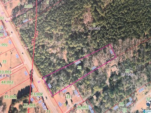 Treed Acreage in Talladega