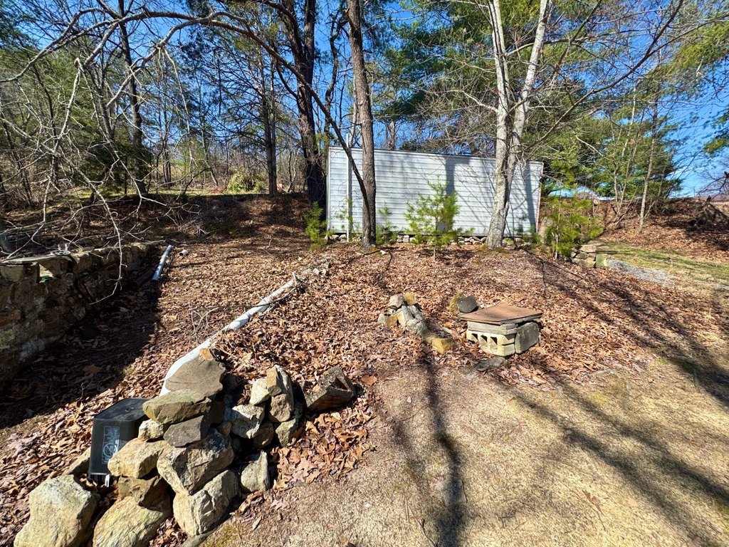 Picture 14