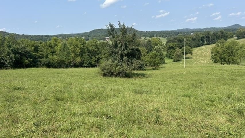 Picture 8