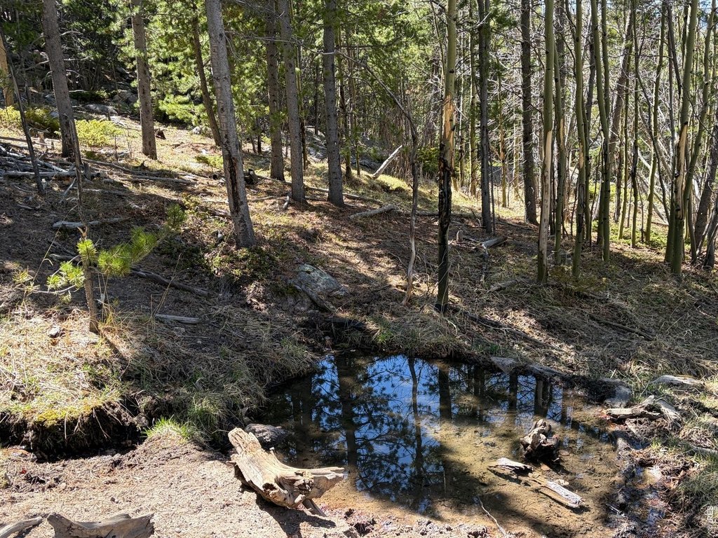 Picture 22