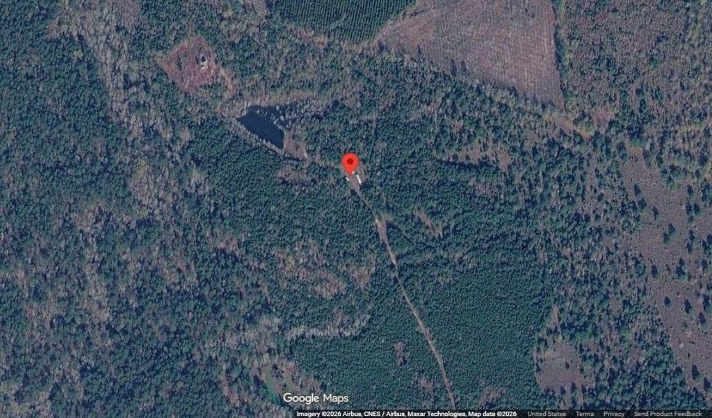 10 Acres Wooded Land