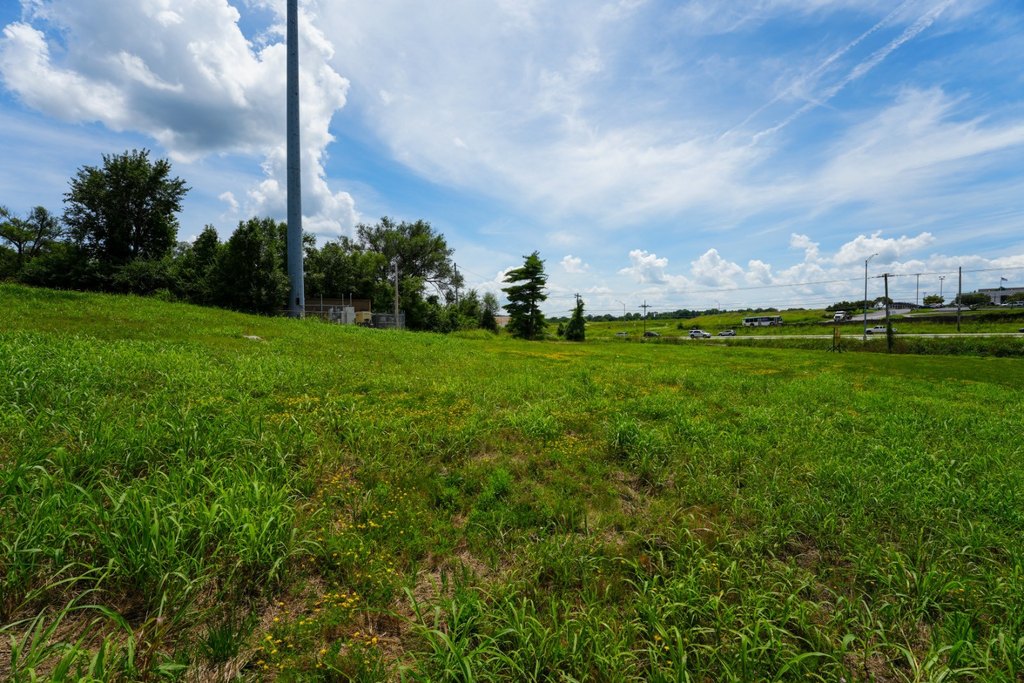Picture 33