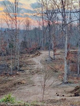 Woodland Estates Building Lots