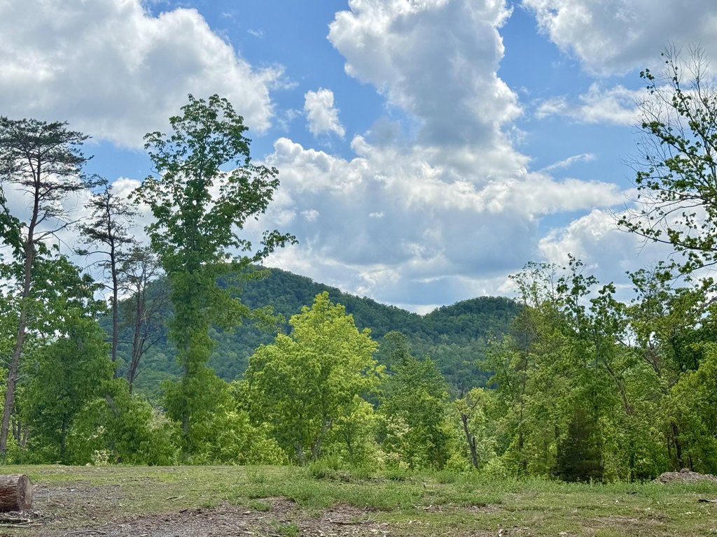 Picture 27