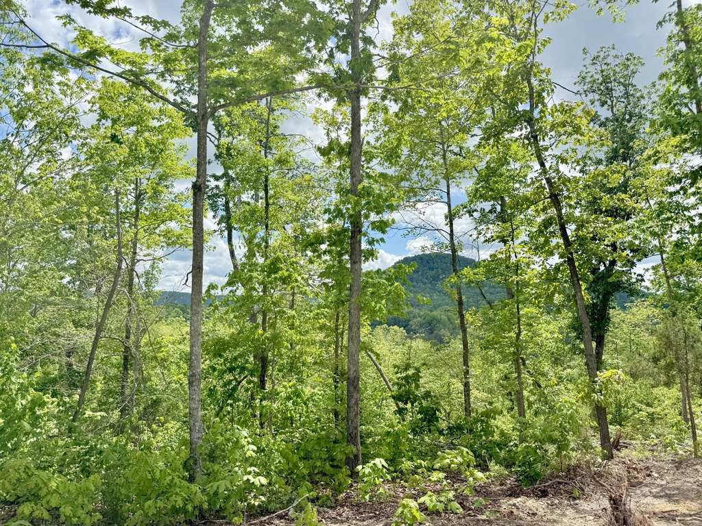 Picture 28