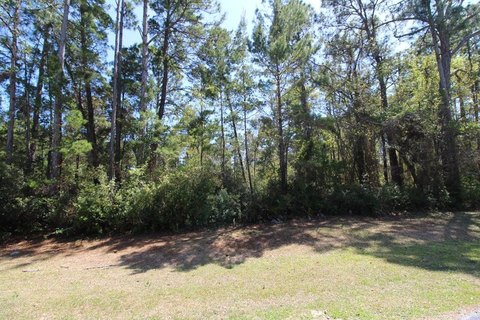 Land, Eastpoint, FL