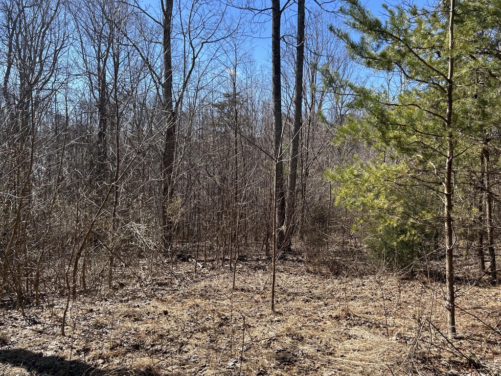 Picture 22