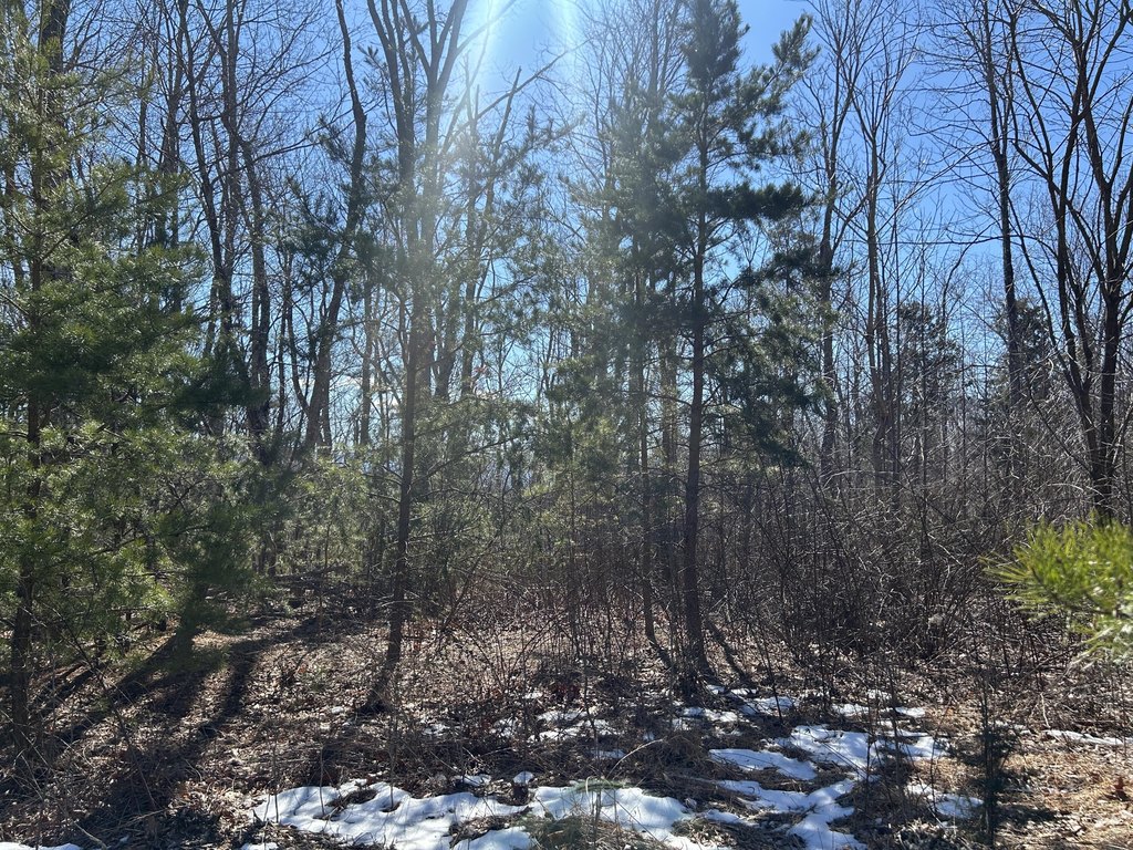 Picture 23
