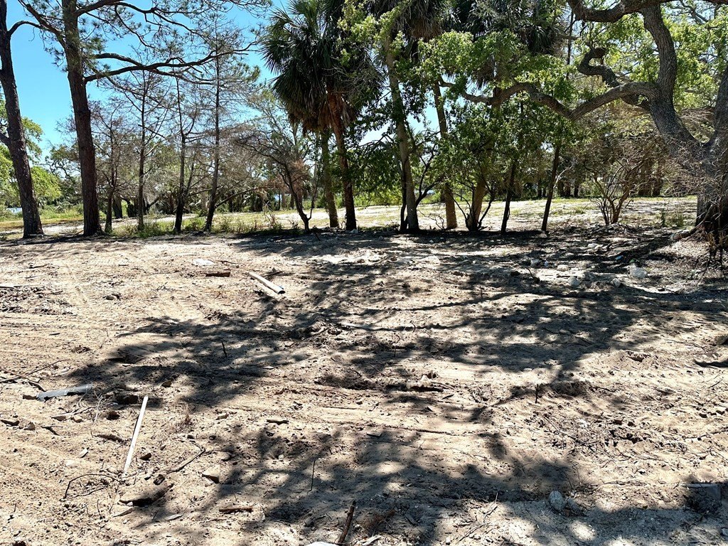 Picture 5
