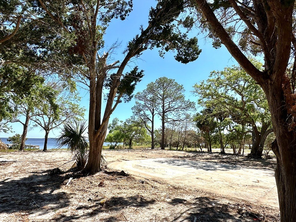 Picture 24