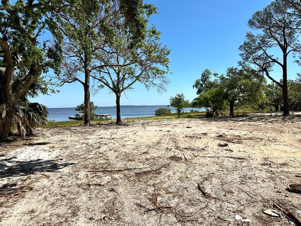Picture 23