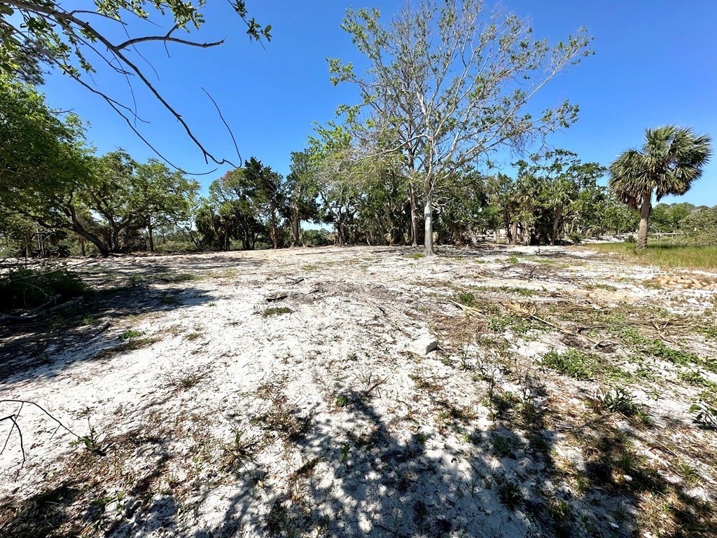 Picture 12