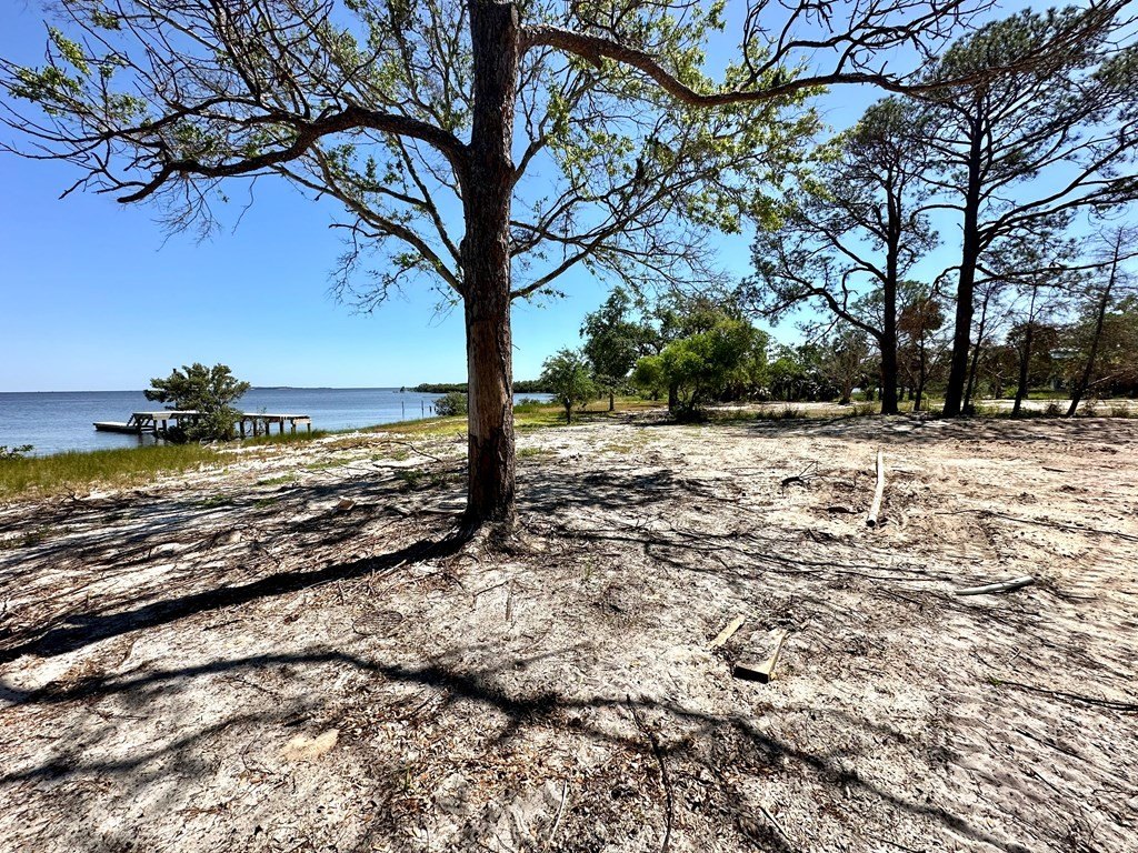 Picture 21