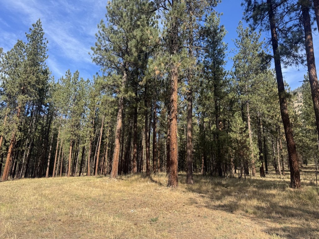 Picture 25