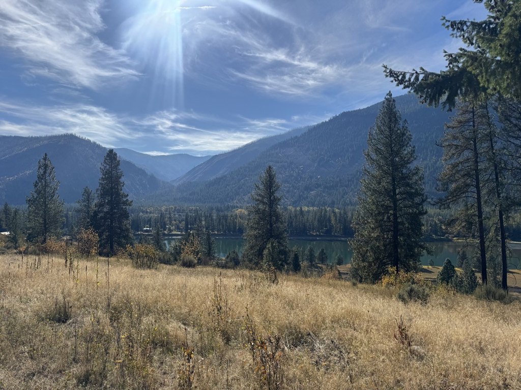 Picture 24