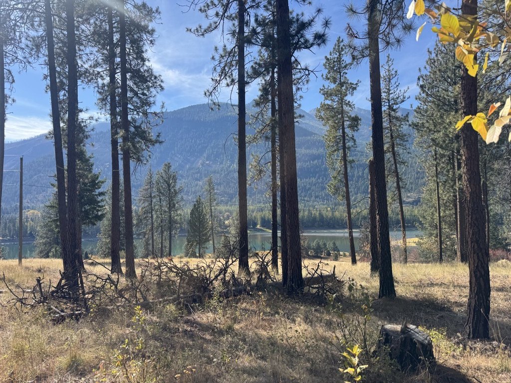 Picture 18
