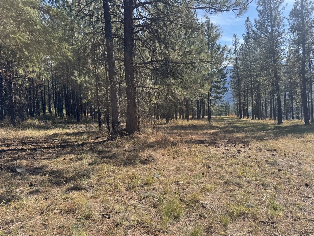 Picture 28