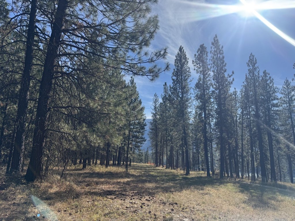 Picture 30