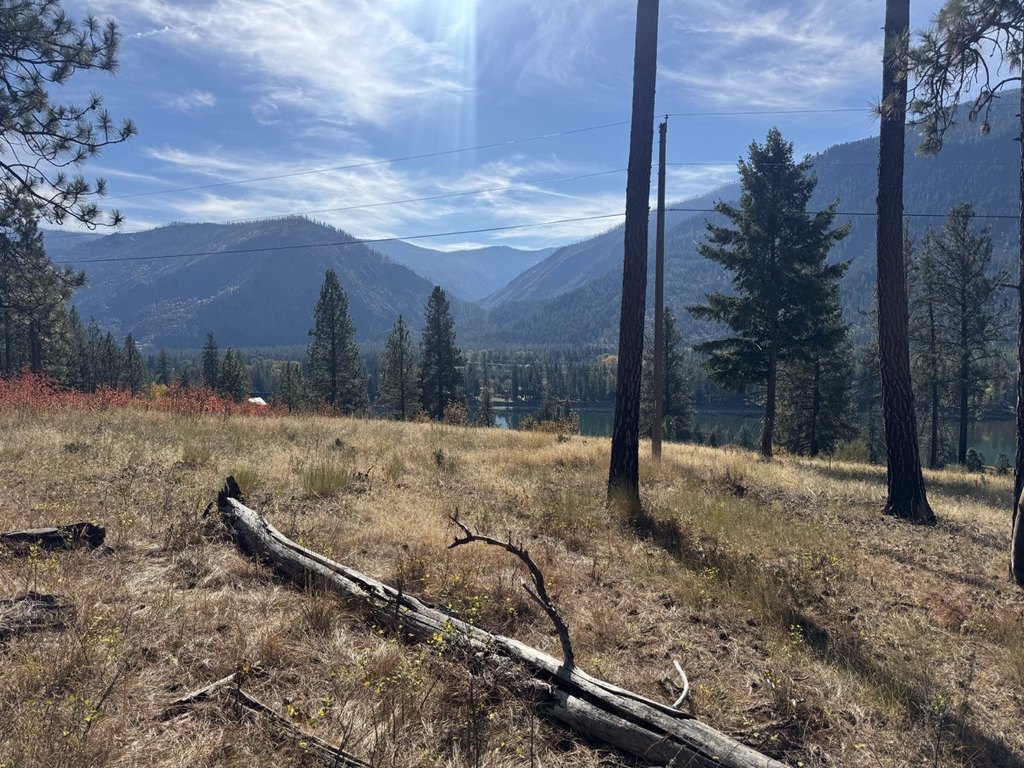 Picture 21