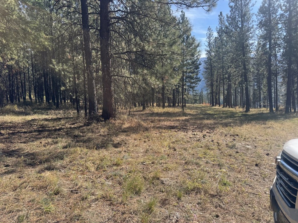 Picture 27