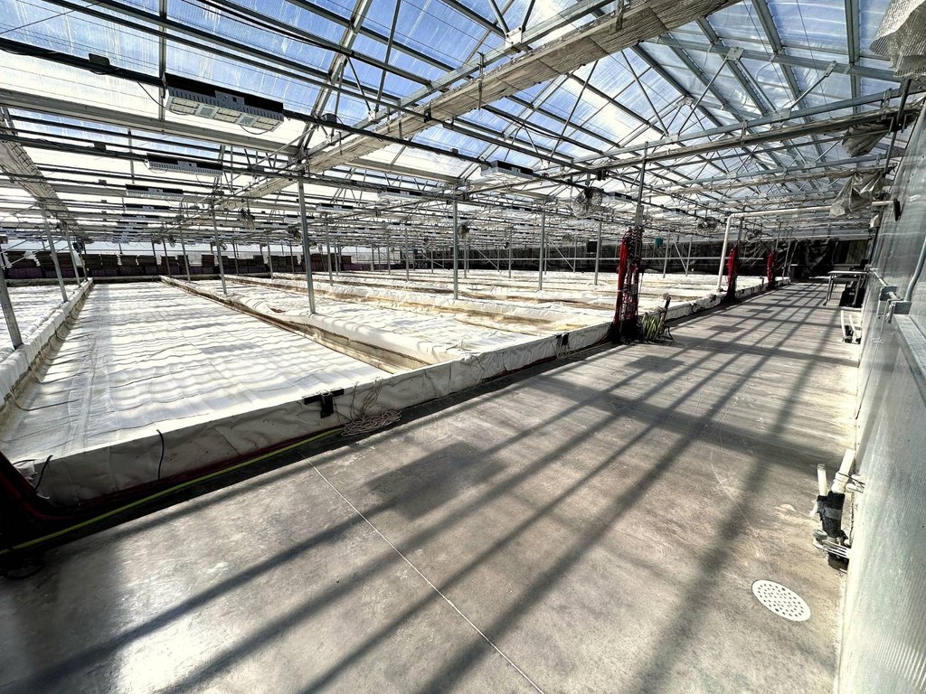 Picture 38