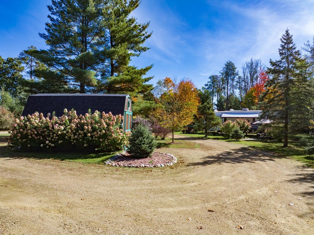 Picture 23