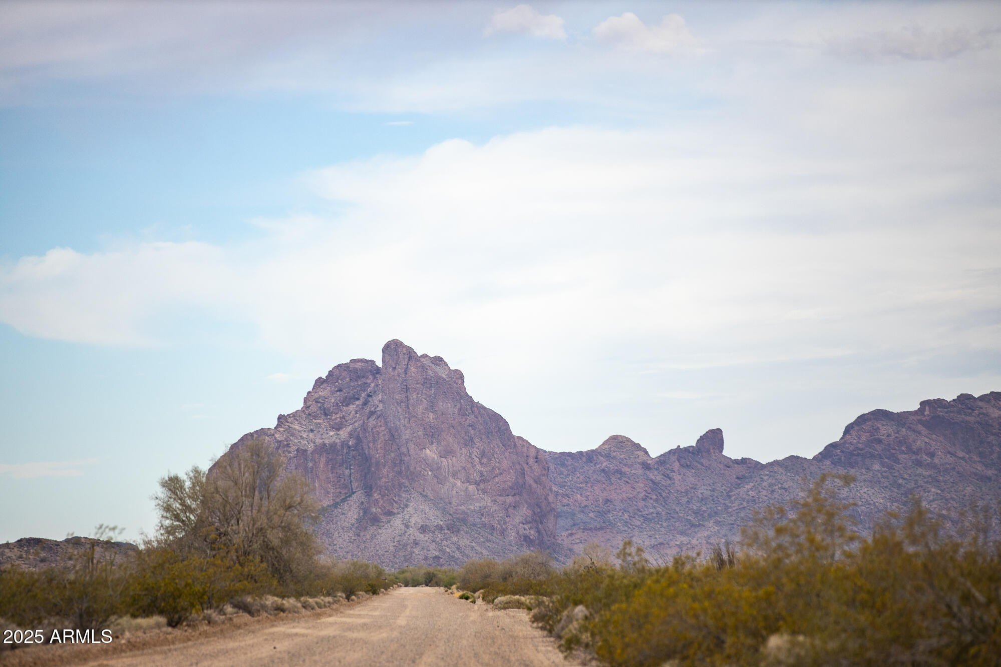 50+ Acres in Tonopah