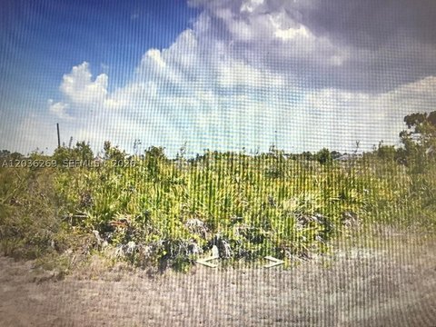 LAND - FL