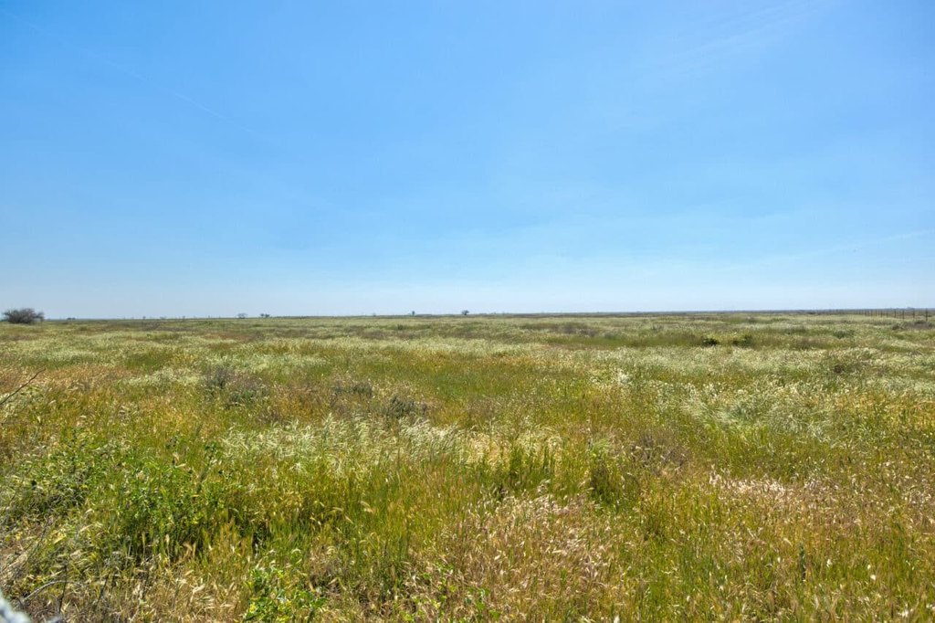 Picture 30
