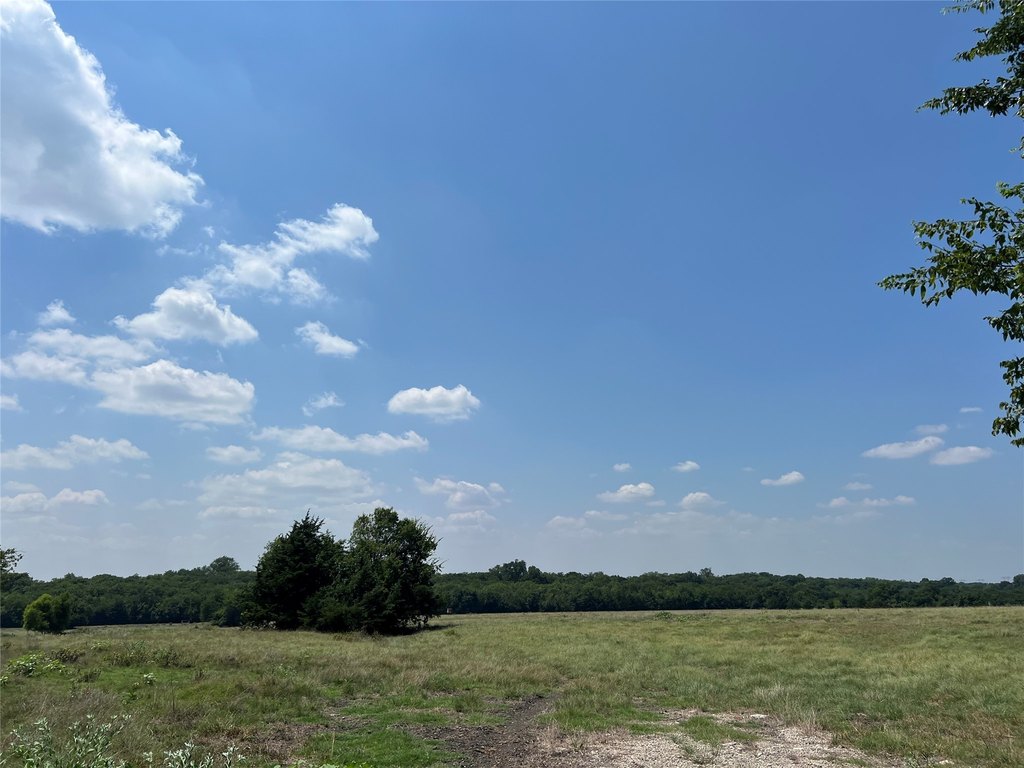 Picture 15