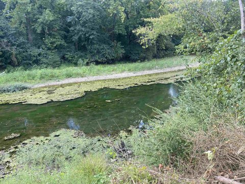 Land Bordering Ouachita River