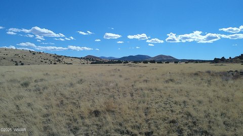 Concho, AZ Land For Sale