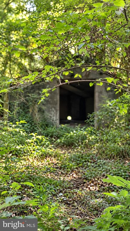 Picture 6