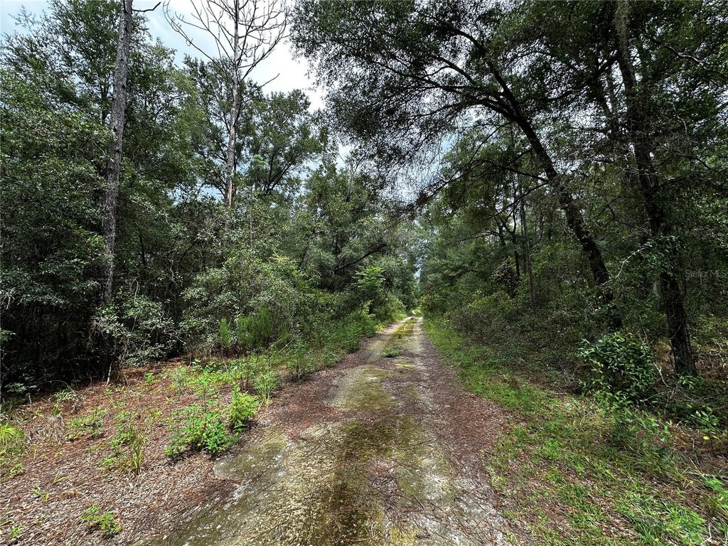 Picture 6